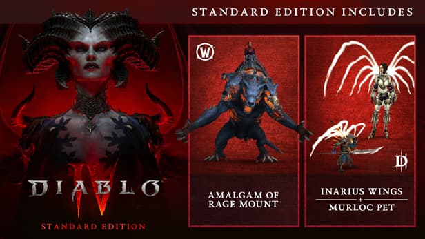 D4 Steam Game Standard Edition Image 616x347 en 1 - Diablo Merch